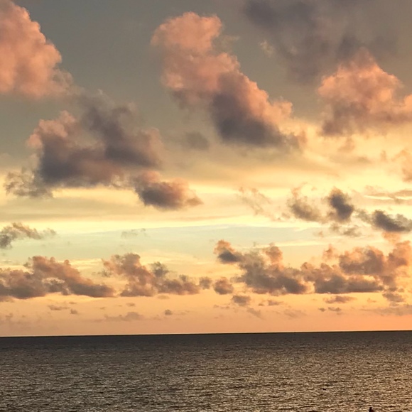 Meet your Posher, Kathryn - Picture 1 of 1